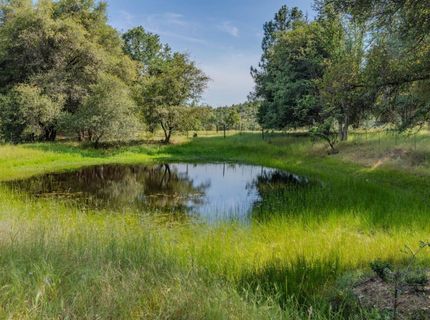6216 Trout Ln, Mountain Ranch, CA 95246 Photo