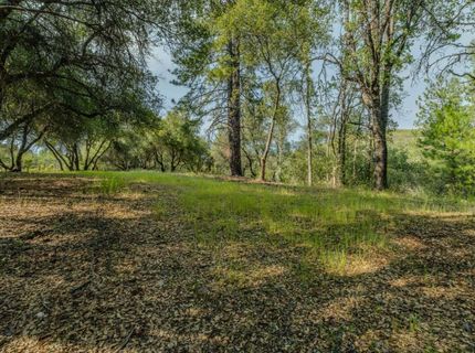 6216 Trout Ln, Mountain Ranch, CA 95246 Photo