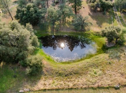 6216 Trout Ln, Mountain Ranch, CA 95246 Photo