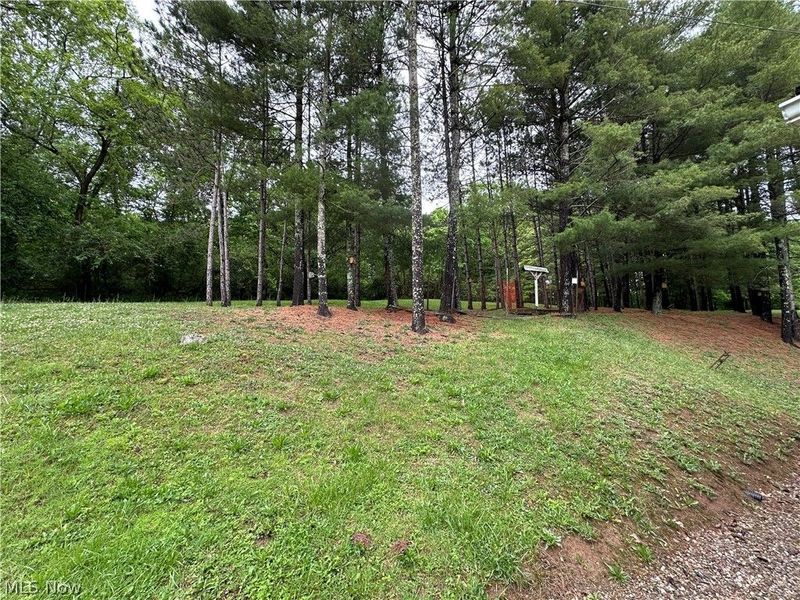 47155 Sarahsville Road, Caldwell, OH 43724 Photo 35