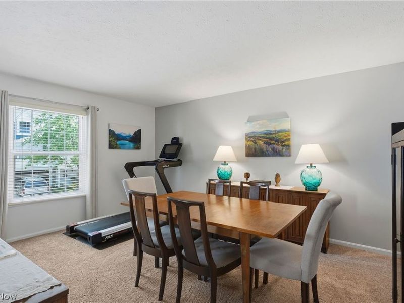 25 Commons Court, Chagrin Falls, OH 44022 Photo 12