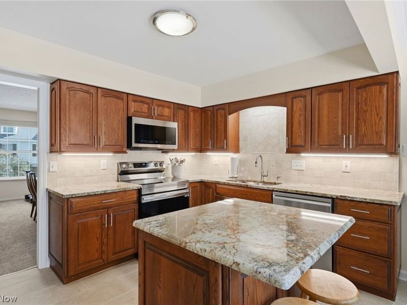 25 Commons Court, Chagrin Falls, OH 44022 Photo 3