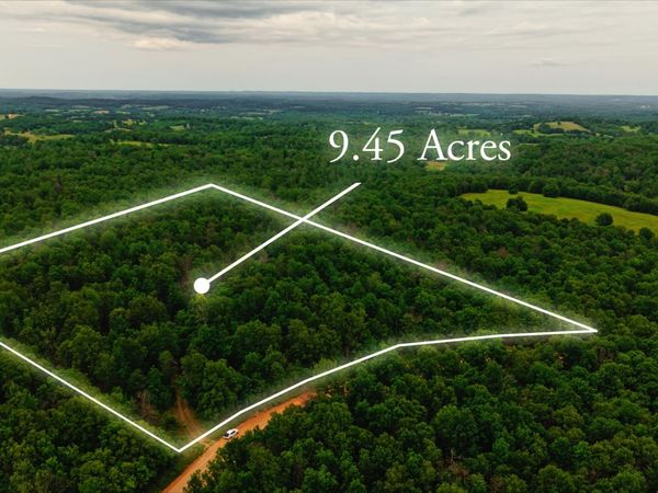 637 County Road 259 , Myrtle, MO 65778