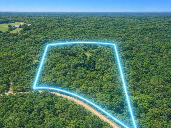 637 County Road 259 , Myrtle, MO 65778
