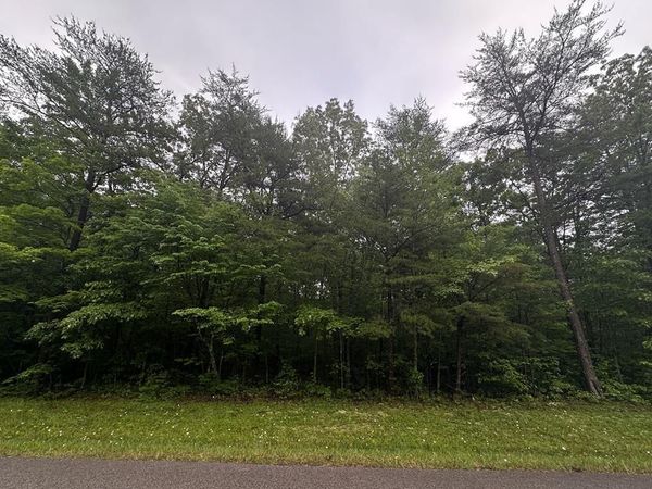 0 Cumberland Lakes Dr, Monterey, TN 38574