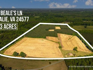 1190 Beales Lane, Nathalie, VA 24577