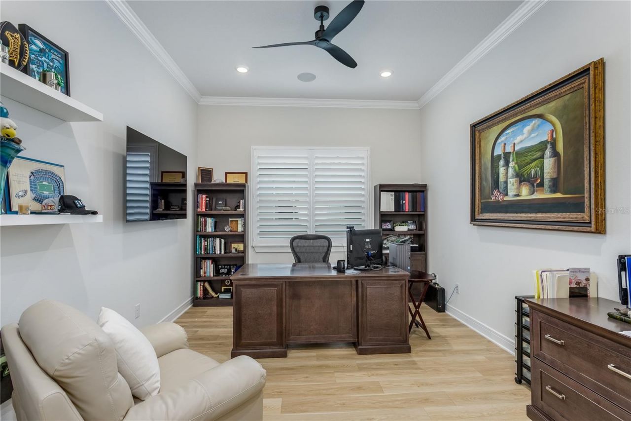 19133 Ship Wheel Way, Land O Lakes, FL 34638 Photo