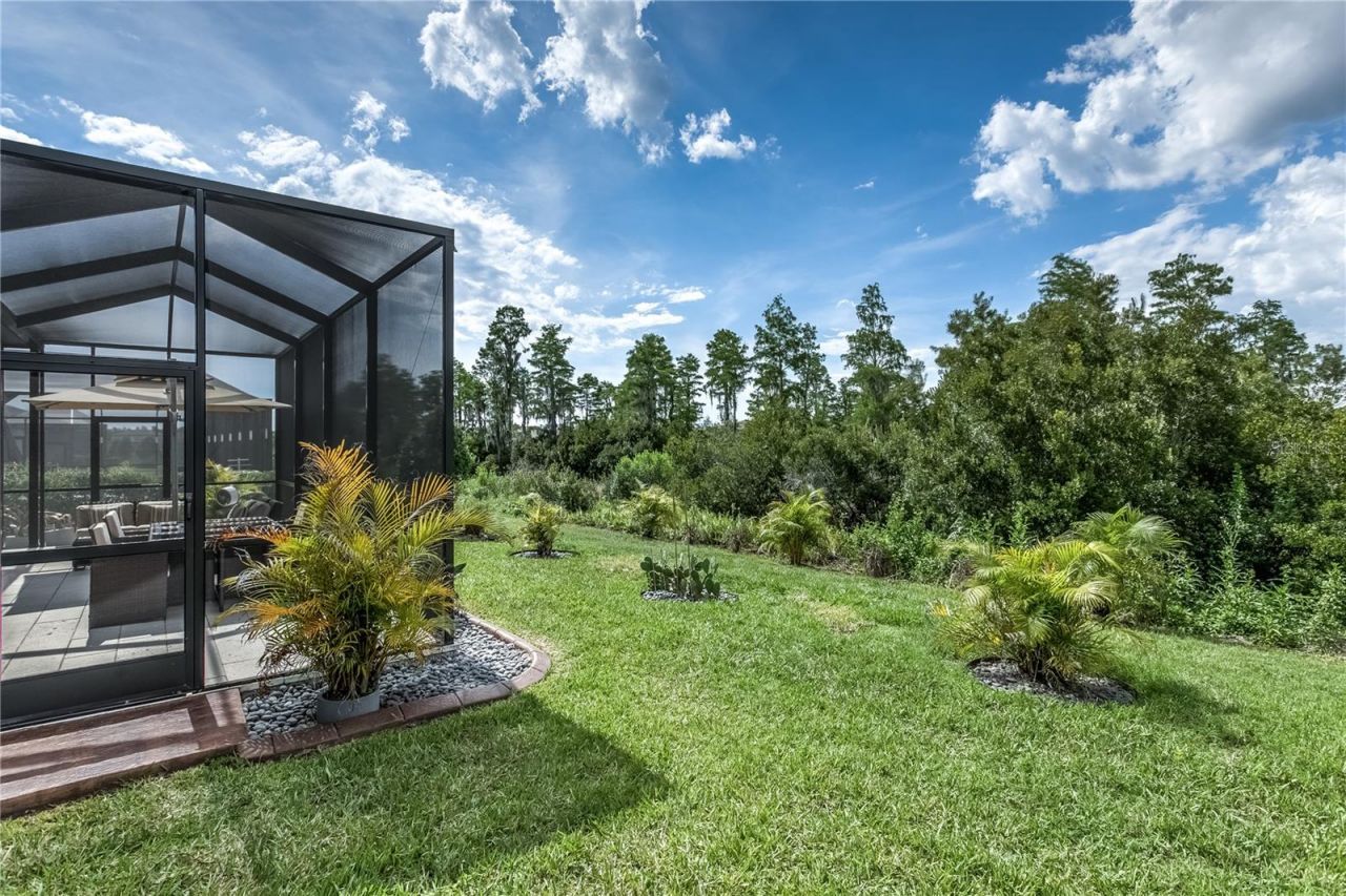 19133 Ship Wheel Way, Land O Lakes, FL 34638 Photo
