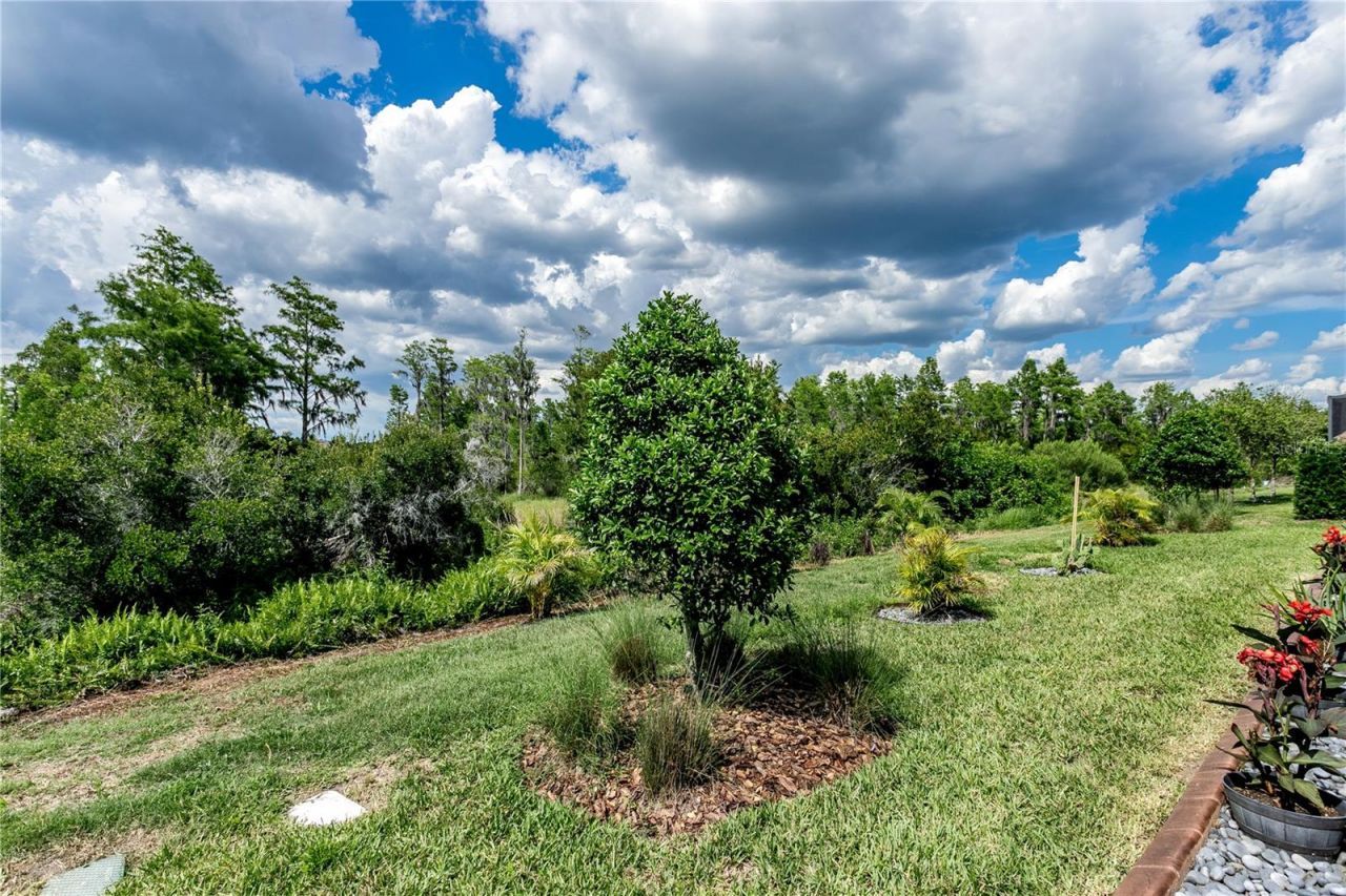 19133 Ship Wheel Way, Land O Lakes, FL 34638 Photo