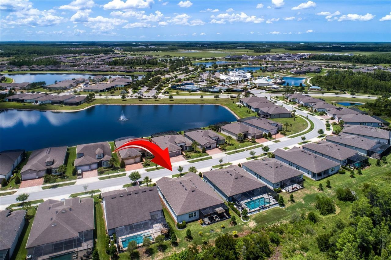 19133 Ship Wheel Way, Land O Lakes, FL 34638 Photo
