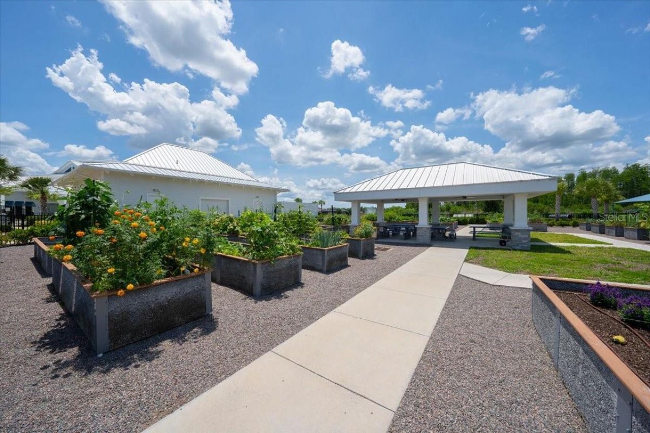 19133 Ship Wheel Way, Land O Lakes, FL 34638 Photo