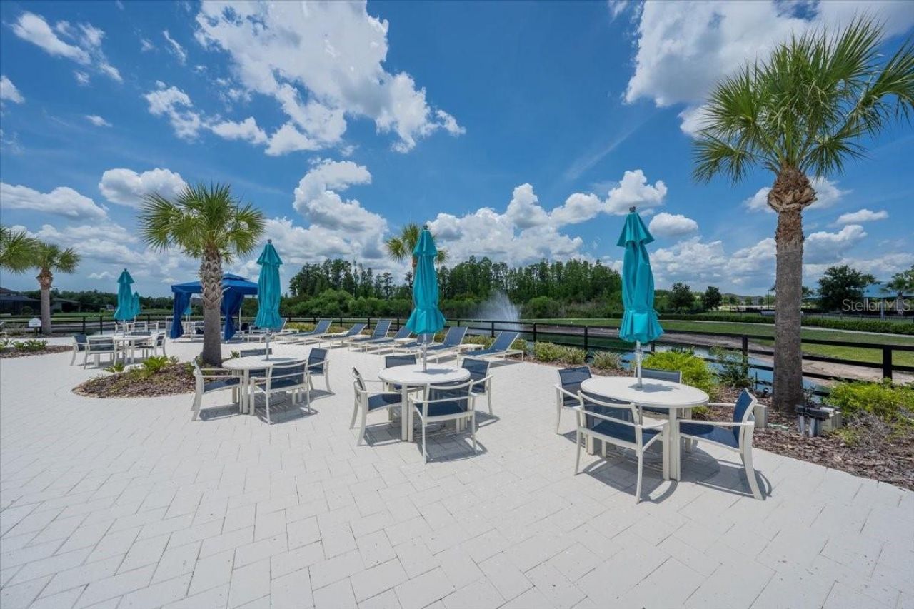 19133 Ship Wheel Way, Land O Lakes, FL 34638 Photo