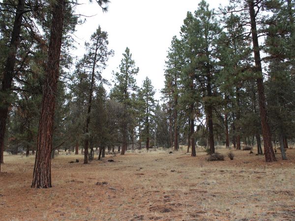 68 Merganser, Unit 68, Klamath Falls, OR 97601