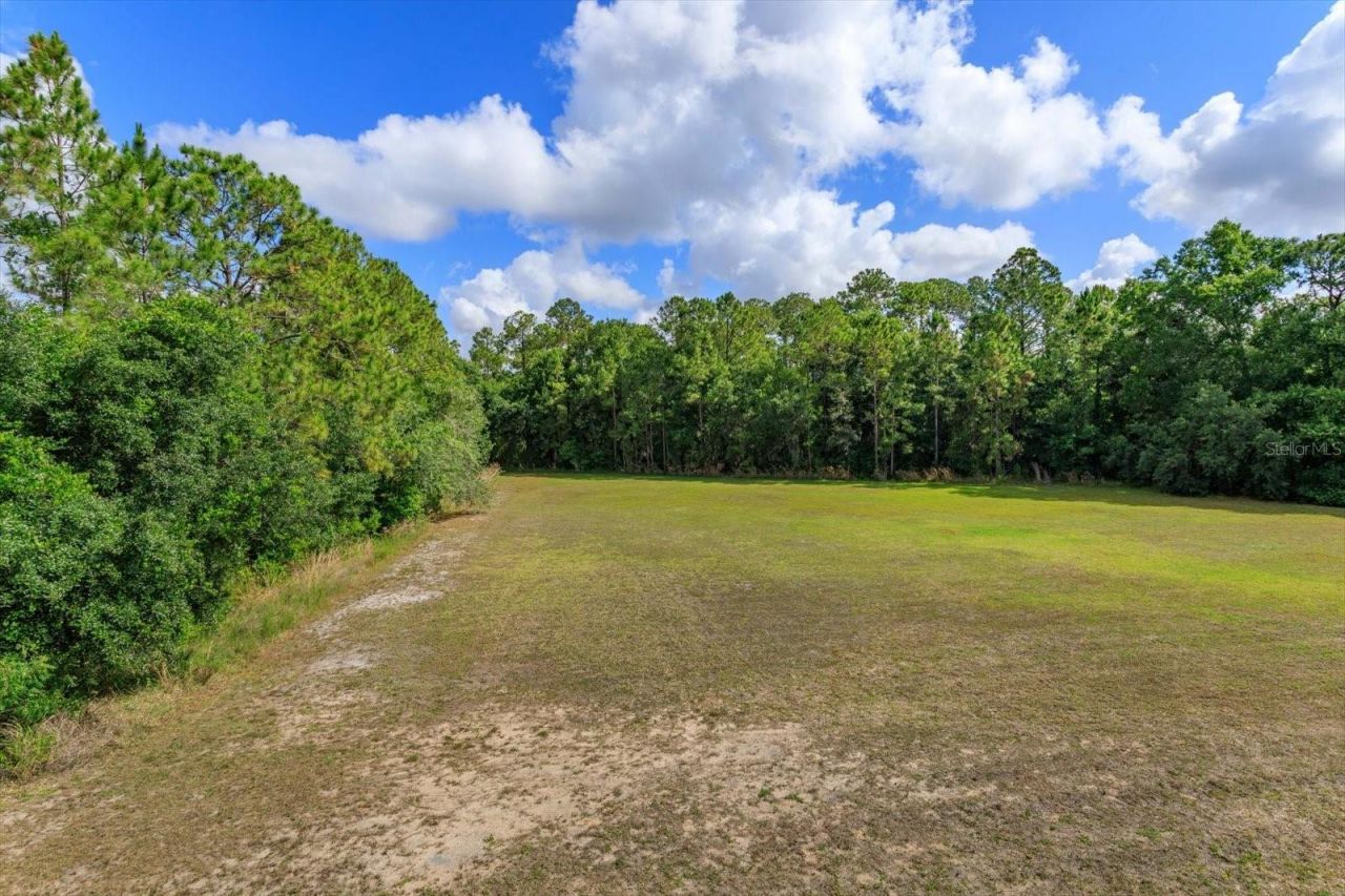 16201 Citrus Pkwy , Clermont, FL 34714 Photo