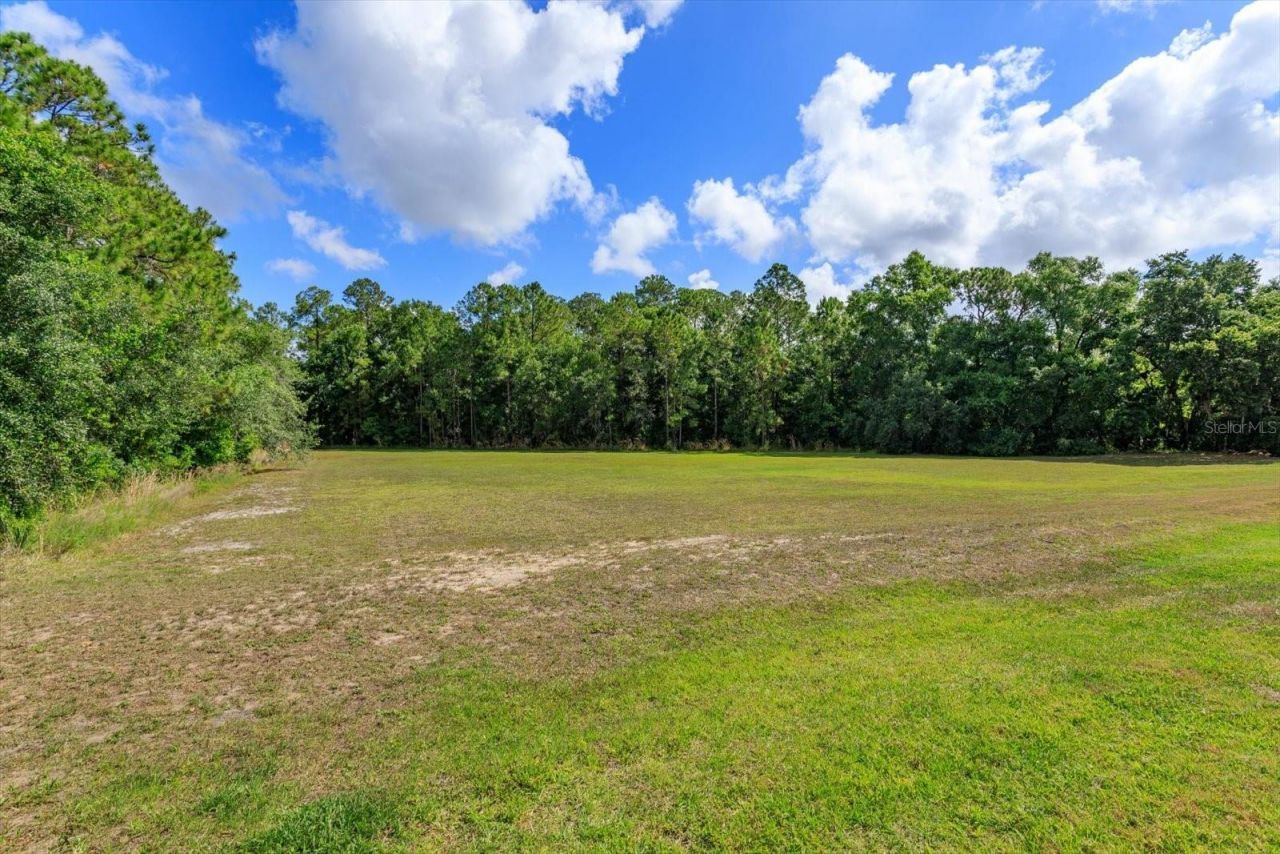 16201 Citrus Pkwy , Clermont, FL 34714 Photo