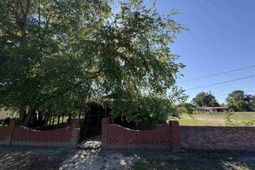 318 Wilmont Street photo 4