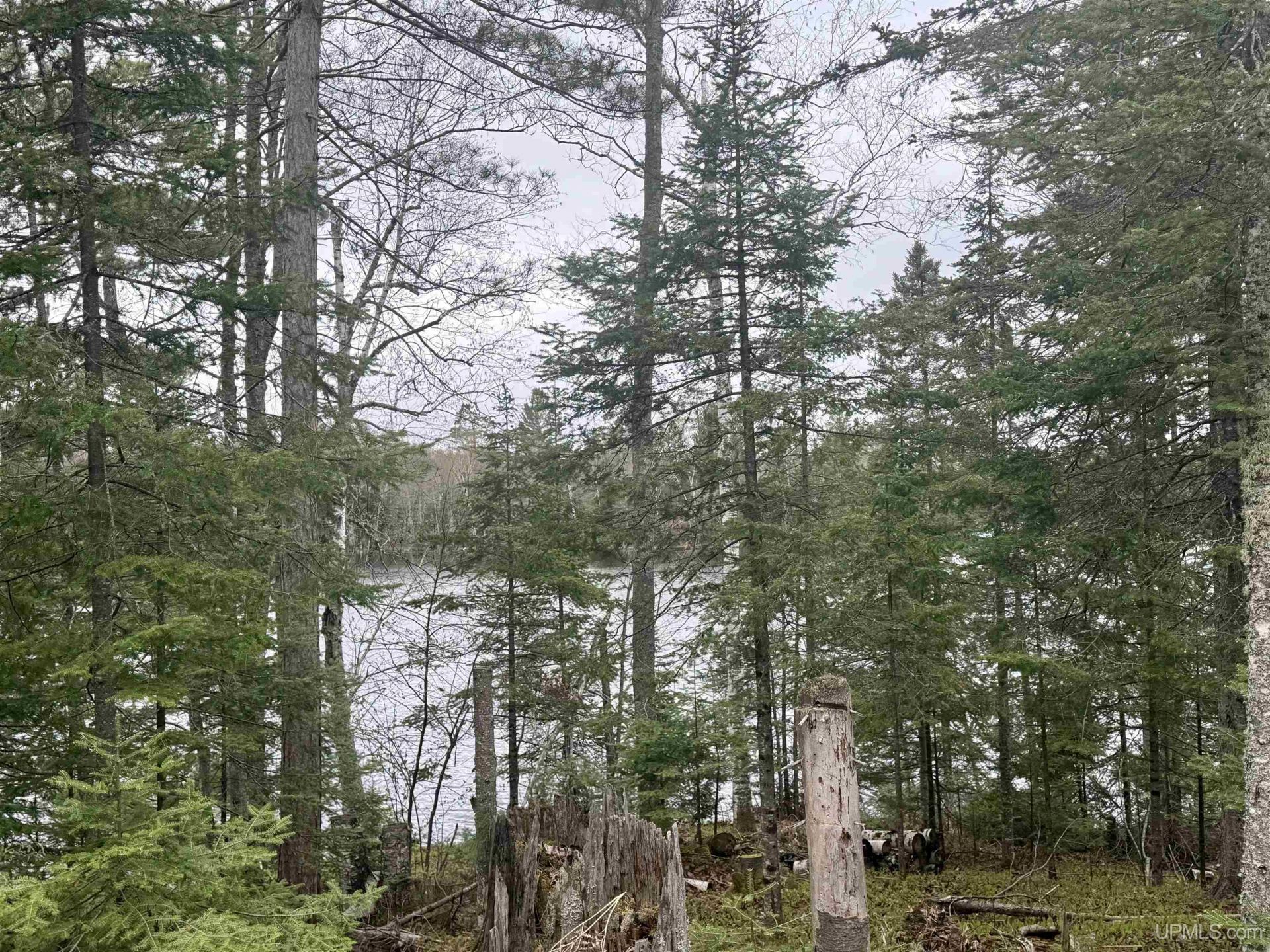 Tbd N Horseshoe Lake Road, Republic Twp, MI 49879 Main Photo