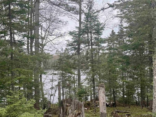 TBD N Horseshoe Lake Road, Republic Twp, MI 49879