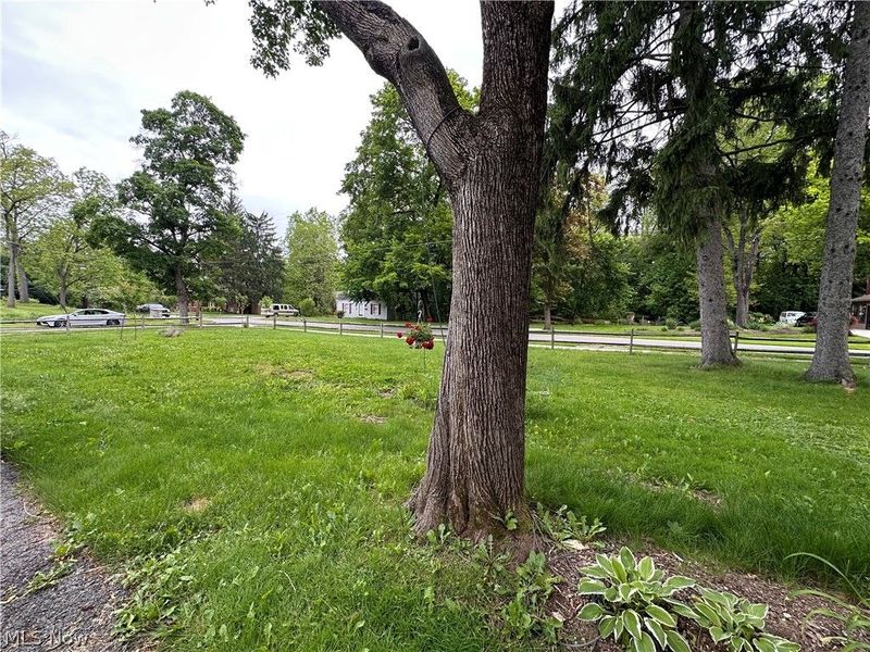 966 Lanterman Avenue , Youngstown, OH 44511 Photo 5