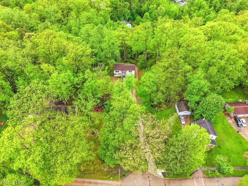 215 Forest Drive , Bedford, OH 44146 Photo 17