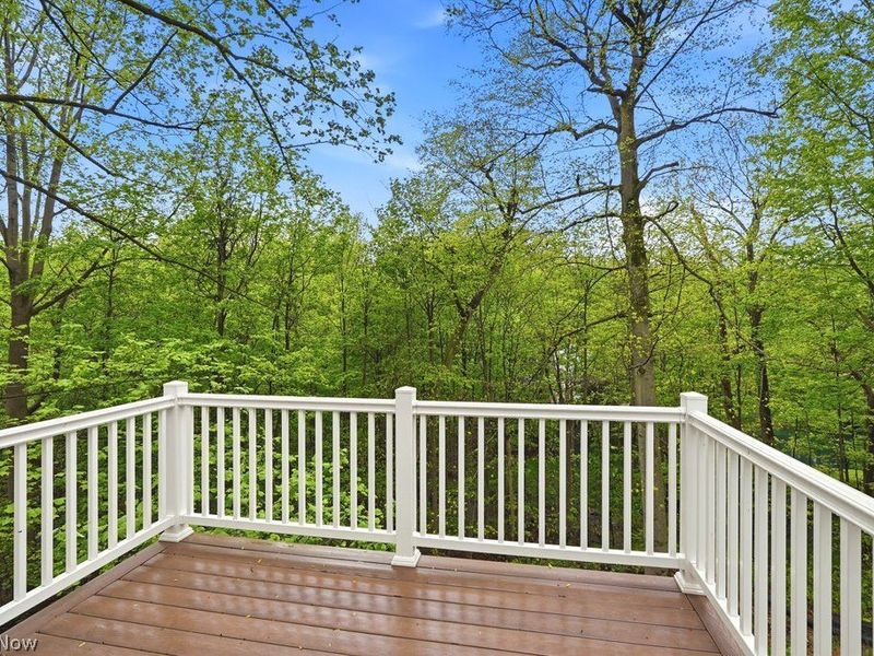 215 Forest Drive , Bedford, OH 44146 Photo 45