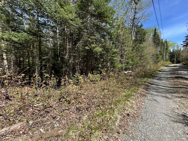 M17/L52-1 Stinchfield Road , Sandy River Plt, ME 04970
