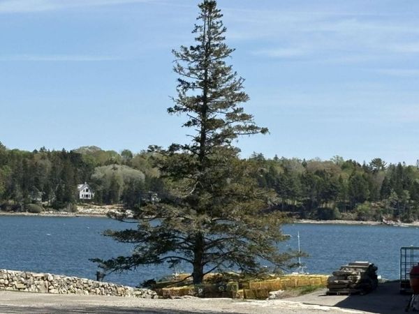 Lot 116010 Martin Point Road , Friendship, ME 04547