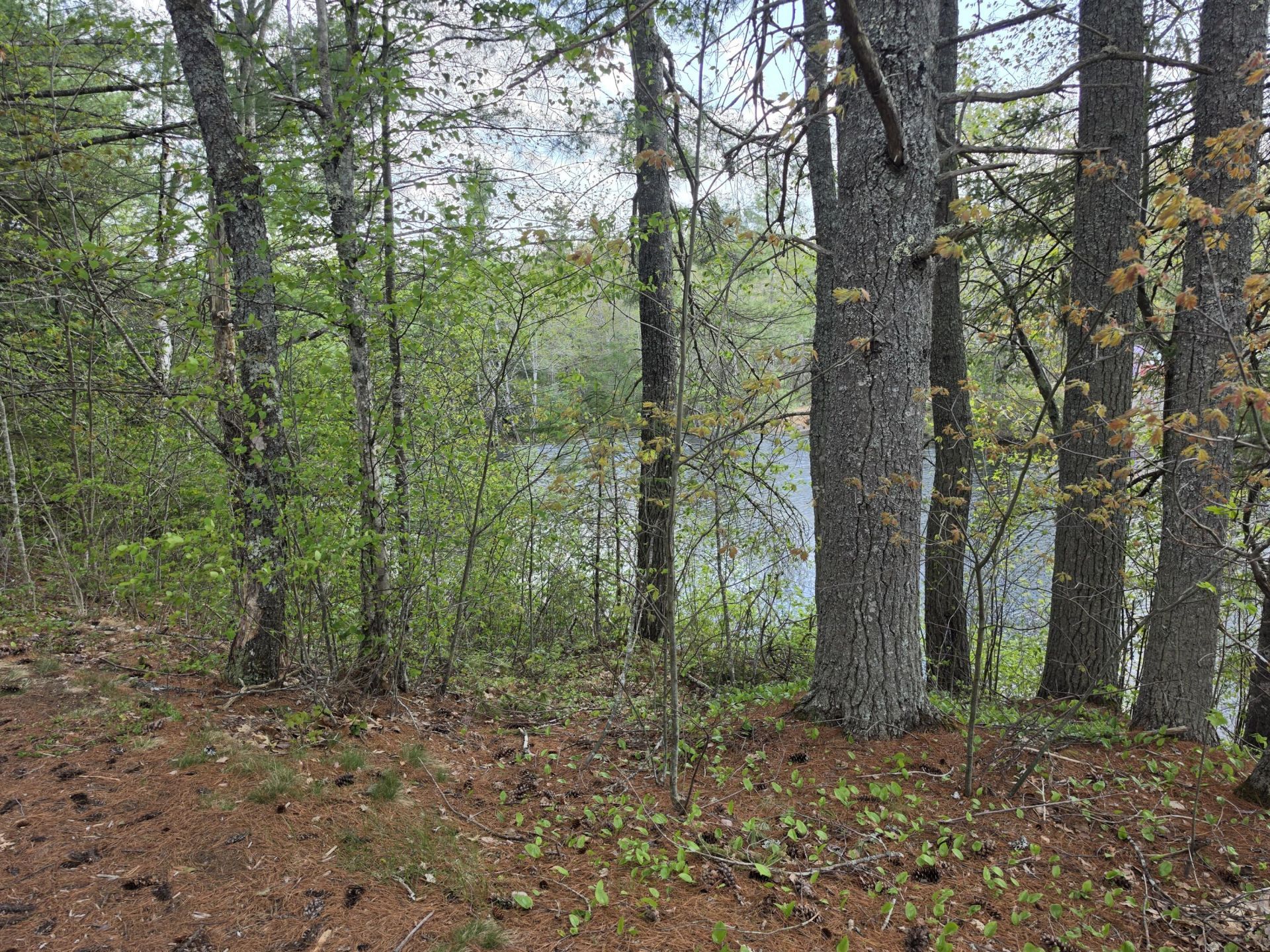1452 Ridge Road, Pembroke, ME 04666 Main Photo