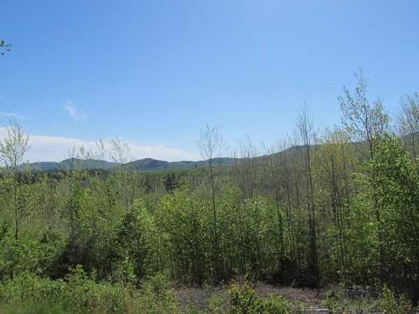 045 W Side Road, Carthage, ME 04224