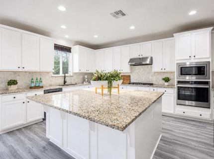 1837 S La Barbera Ave, Mountain House, CA 95391 Photo