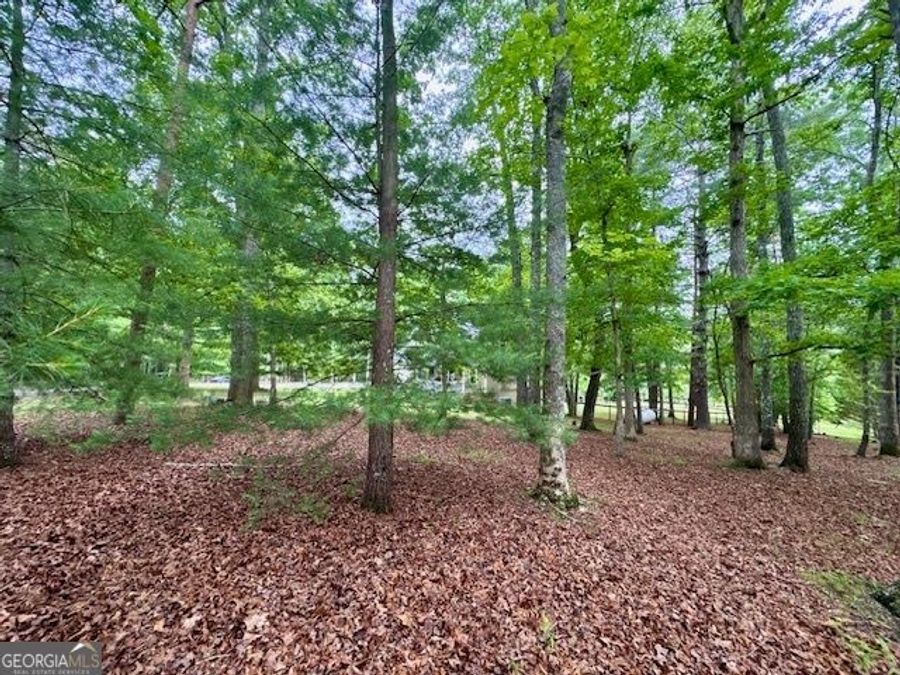 Property Image 66