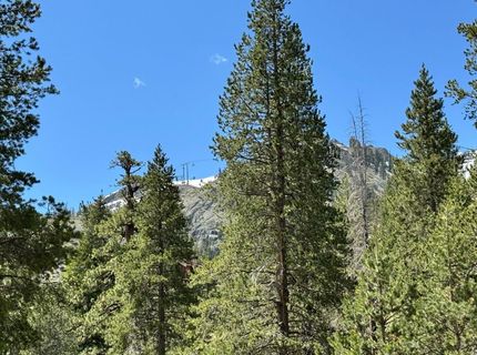 415 Shirley Canyon Road, Olympic Valley, CA 96146 Photo