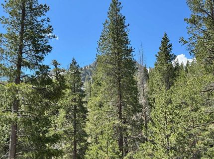 415 Shirley Canyon Road, Olympic Valley, CA 96146 Photo