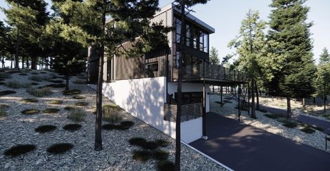 10725 Passage Place, Truckee, CA 96161 Photo