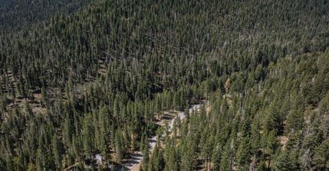 970 Ward Creek Blvd, Tahoe City, CA 96145 Photo