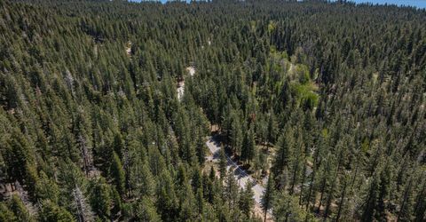 970 Ward Creek Blvd, Tahoe City, CA 96145 Photo