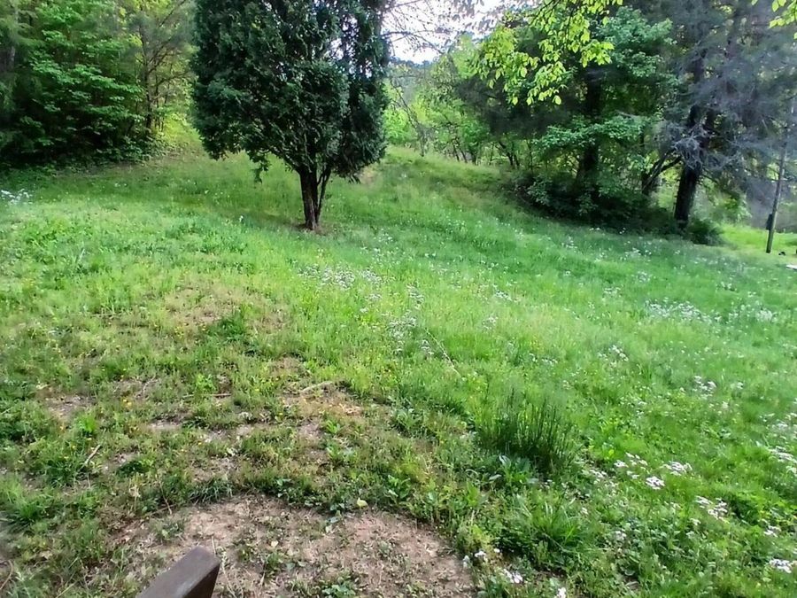 Property Image 52