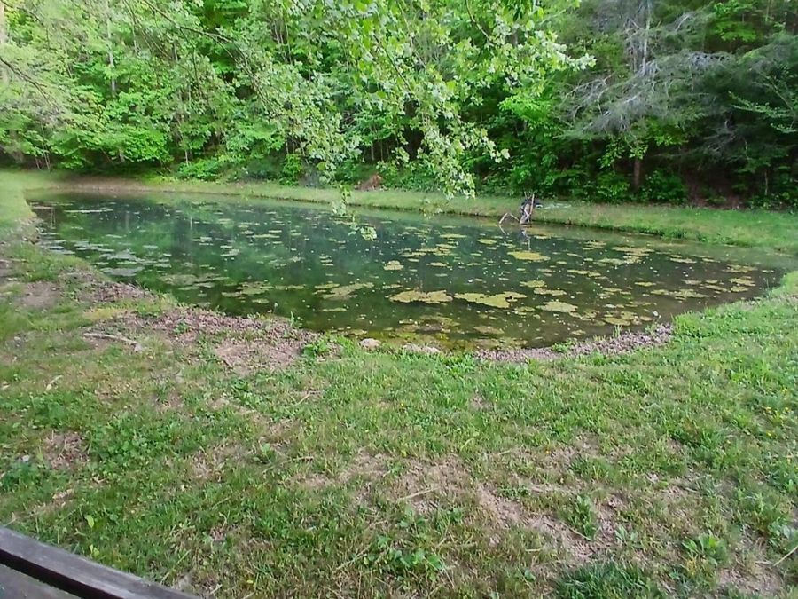 Property Image 53
