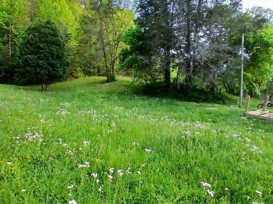 Property Image 55