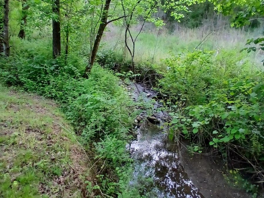 Property Image 58