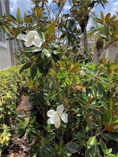 8083 Queen Palm Ln, Unit 425, Fort Myers, FL 33966 Photo