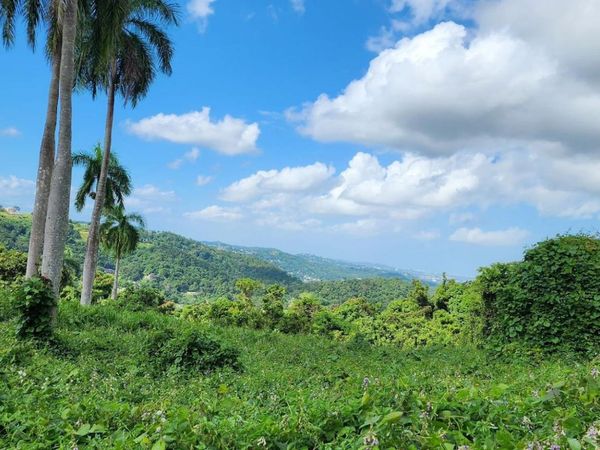 lote 5 958, Rio Grande, PR 00745