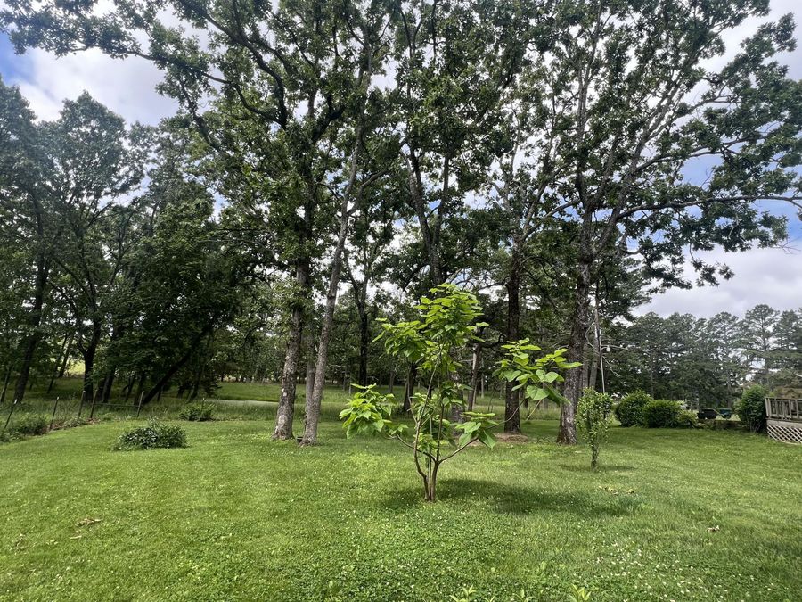 Property Image 62