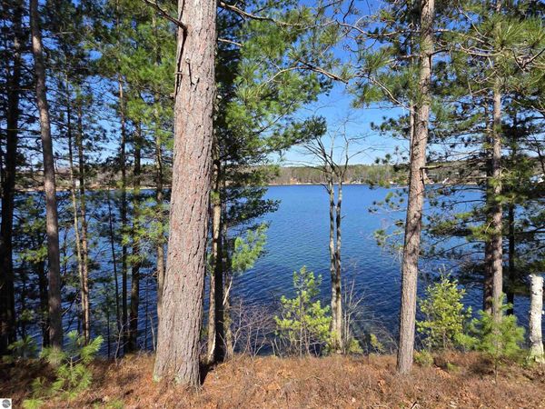 9269 Gedman Road, Mancelona, MI 49659