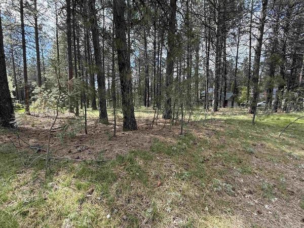 17XXX N Saddle Hill Rd, Colbert, WA 99005