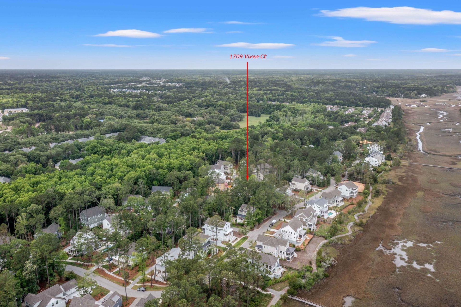 1709 Vireo Court Photo 41