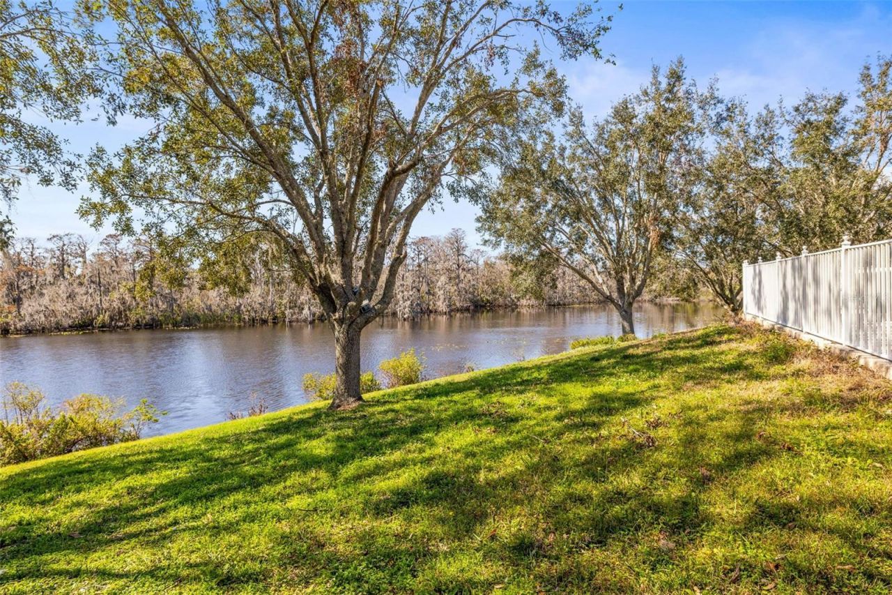 7425 Terrace River Drive, Tampa, FL 33637 Photo