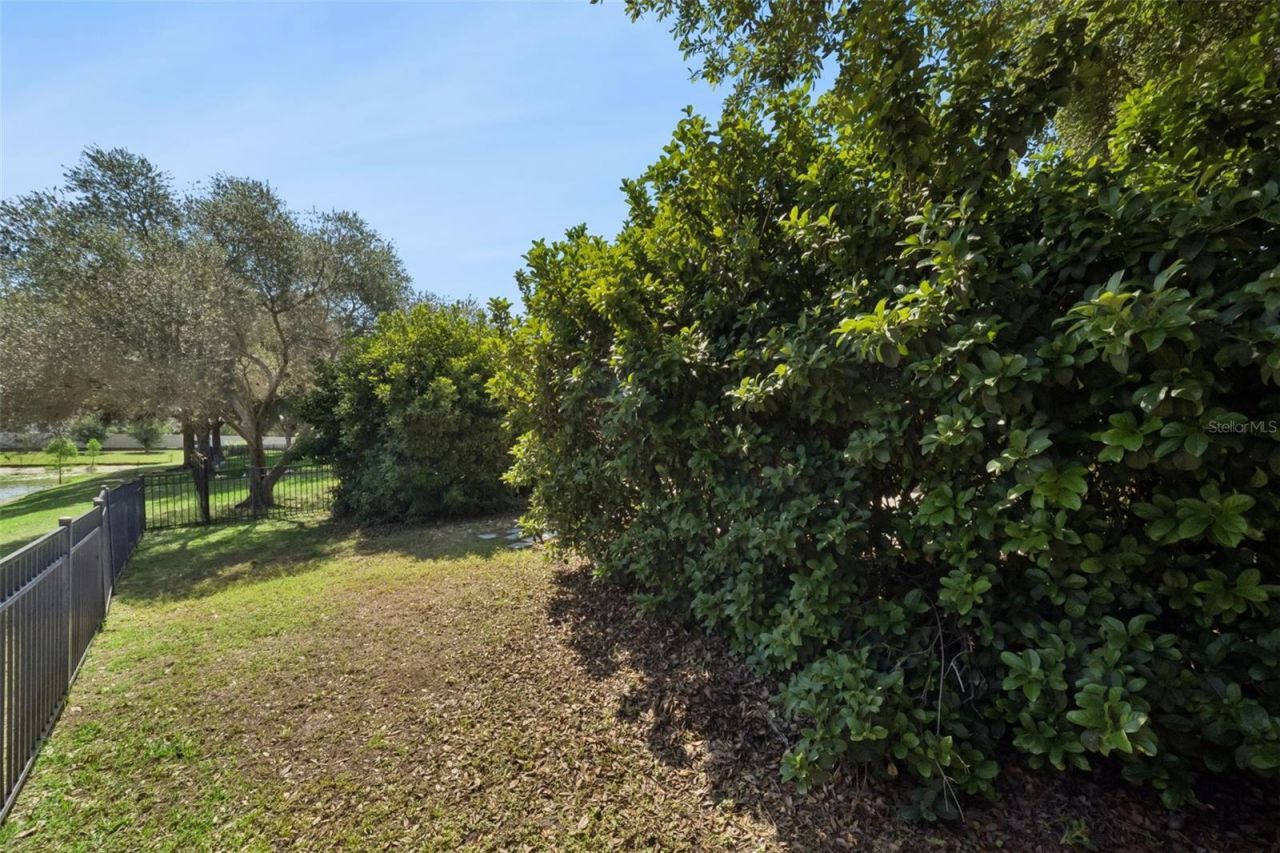 5056 Gandross Lane , Mount Dora, FL 32757 Photo