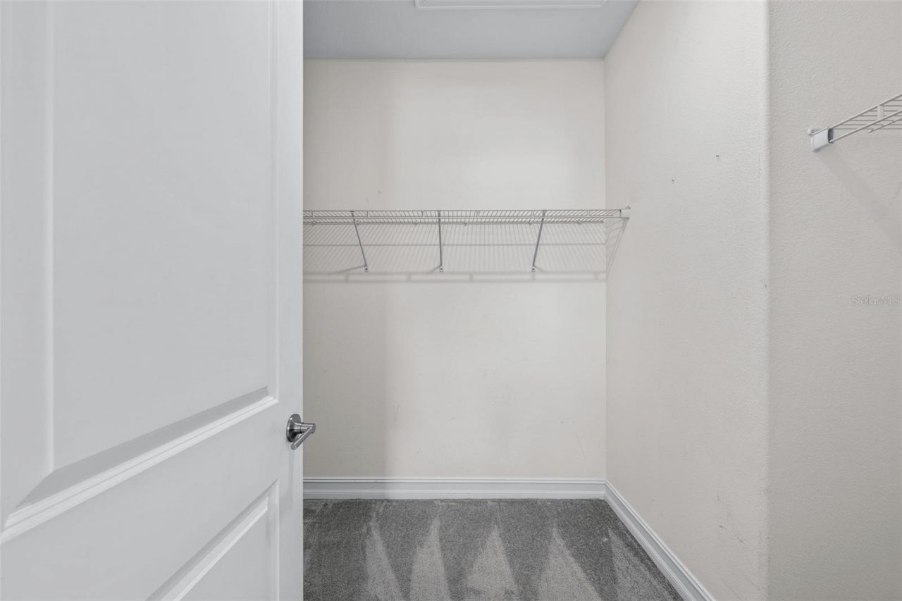 4549 Ancona Way , Wesley Chapel, FL 33543 Photo