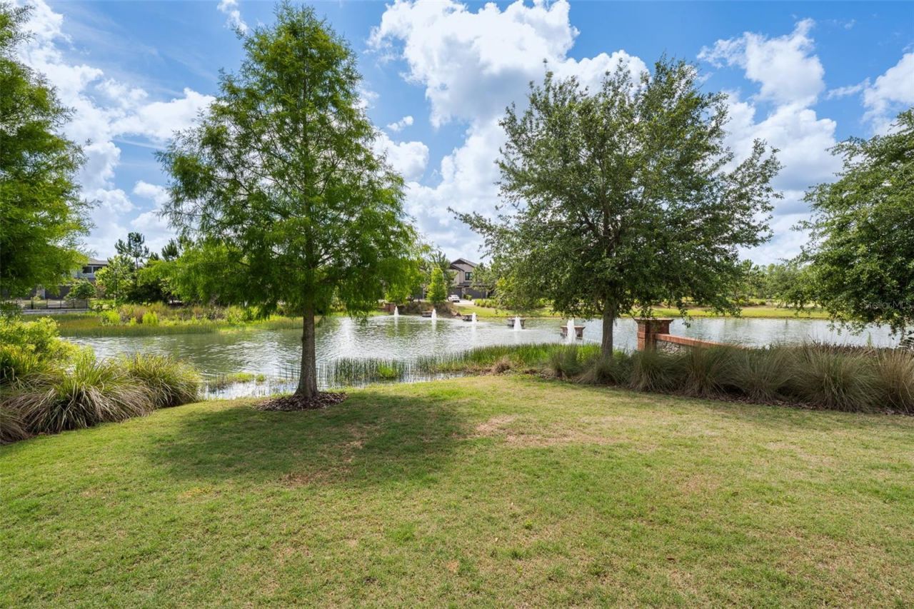 4549 Ancona Way , Wesley Chapel, FL 33543 Photo